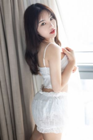 文豪野犬第二季 在线播放_BD英语高清电影在线