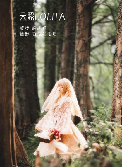 同伊 电视剧_电视剧在线观看